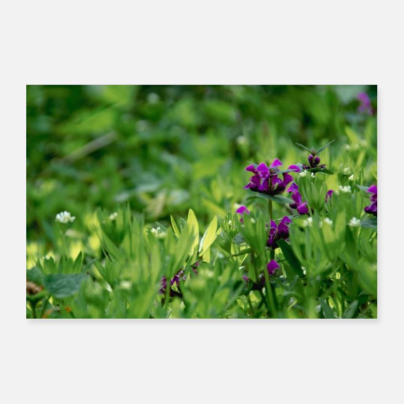 Wildflower Poster 90 x 60 cm