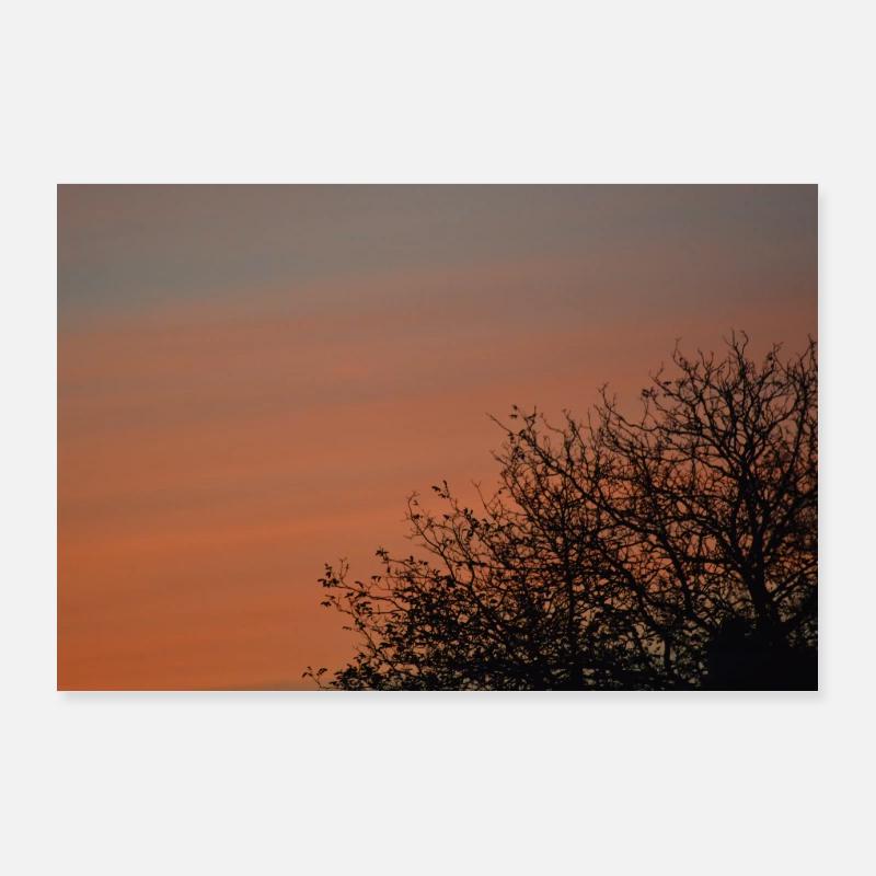 Sunset with treetop Poster 36" x 24" (90x60 cm)