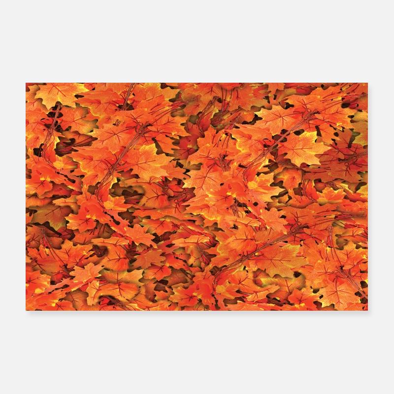 Belles feuilles d’automne Feuilles d’automne Poster 90 x 60 cm