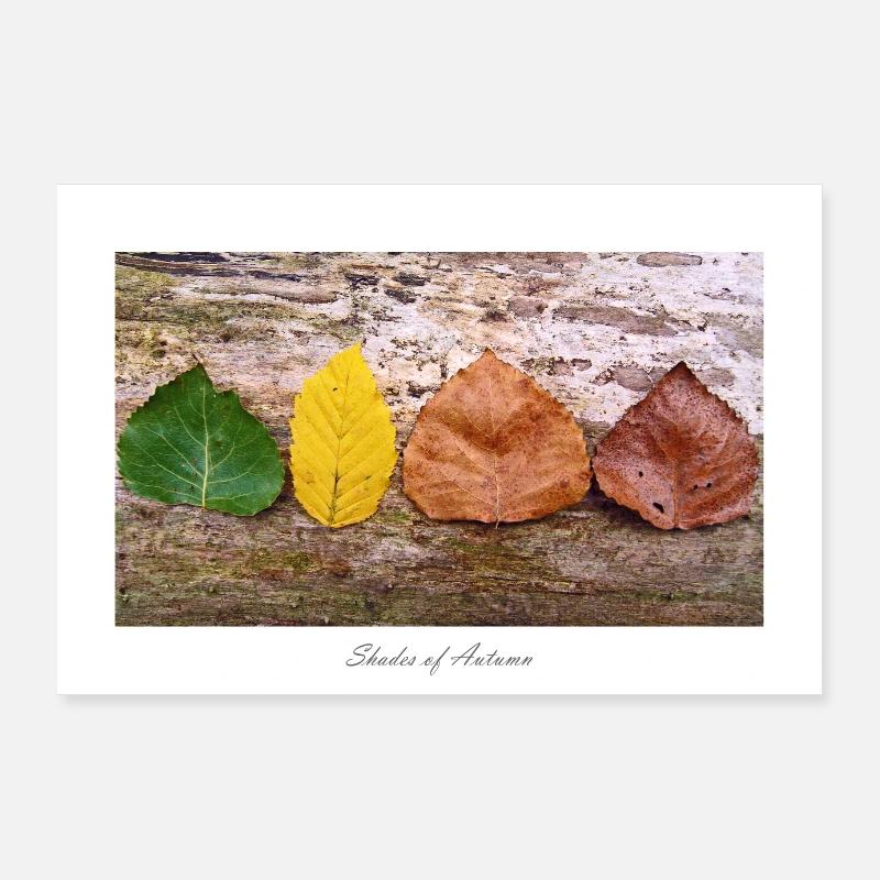 Nuances d’automne Poster 90 x 60 cm