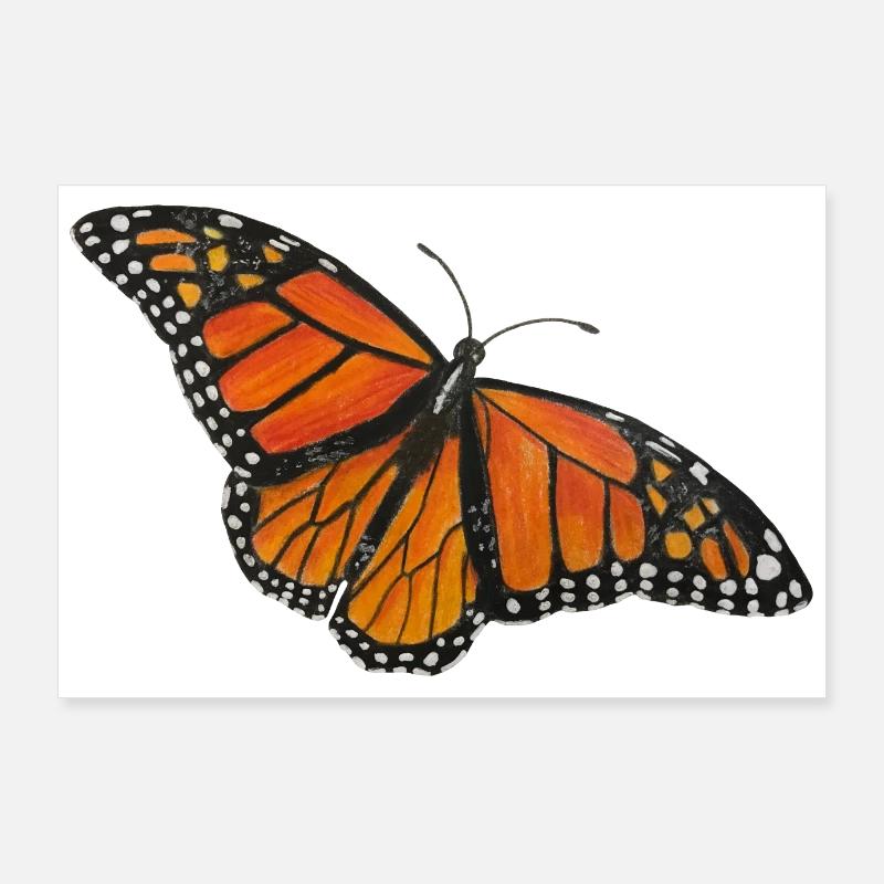 Butterfly Monarch Butterfly Entomologist Wandering Fold Poster 36" x 24" (90x60 cm)