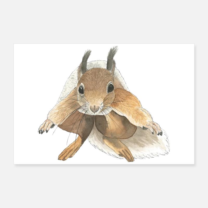 squirrel jumping squirrel Poster 36" x 24" (90x60 cm)