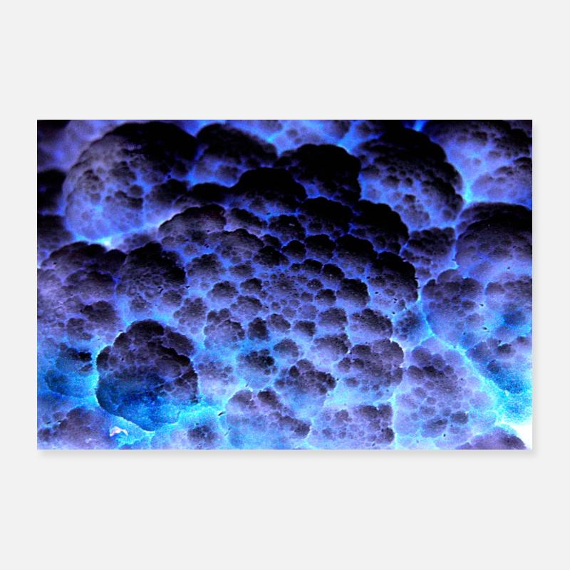 Affiche - Chou-fleur Poster 90 x 60 cm