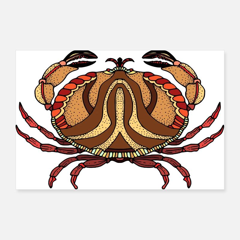 Krabbe Poster 90x60 cm