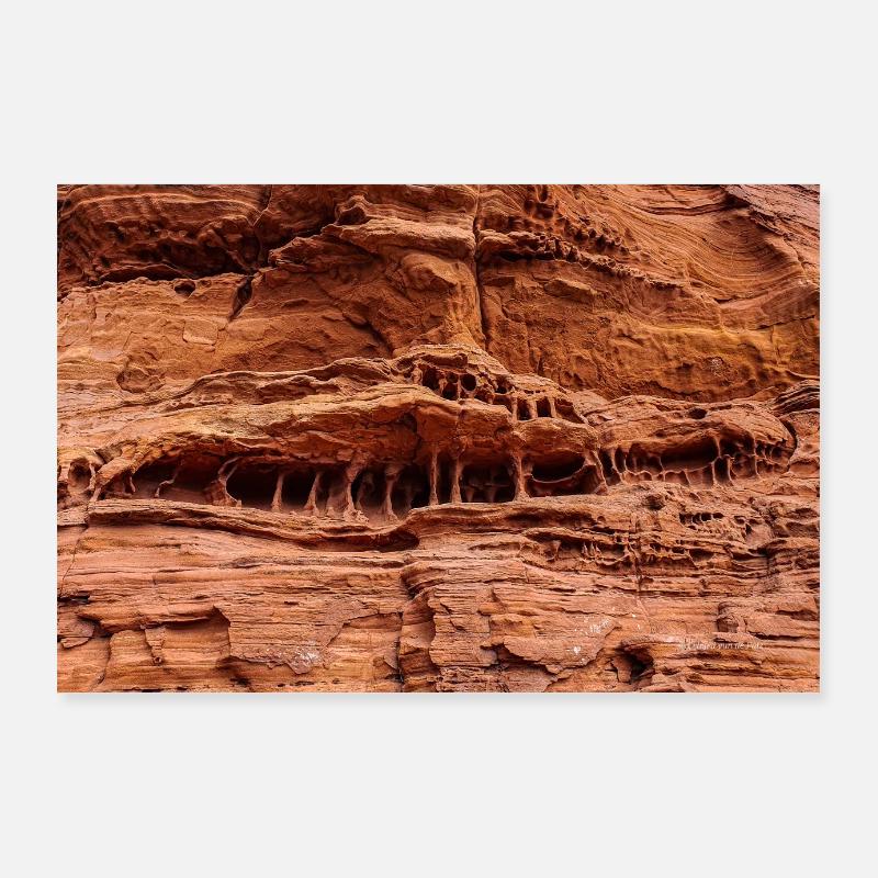 Urzeit Poster 90x60 cm