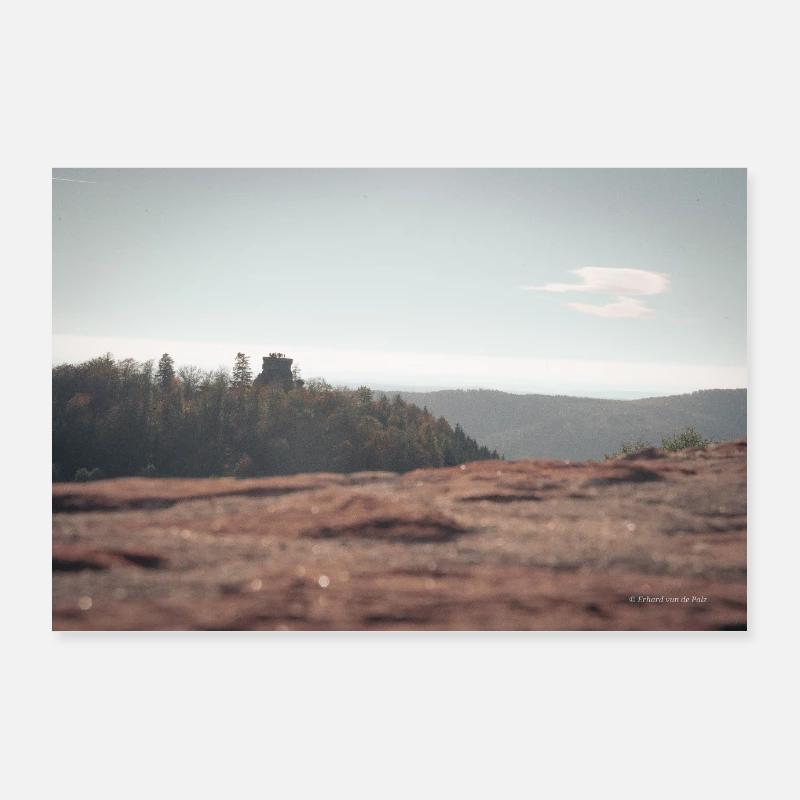 View of the forest Poster 36" x 24" (90x60 cm)