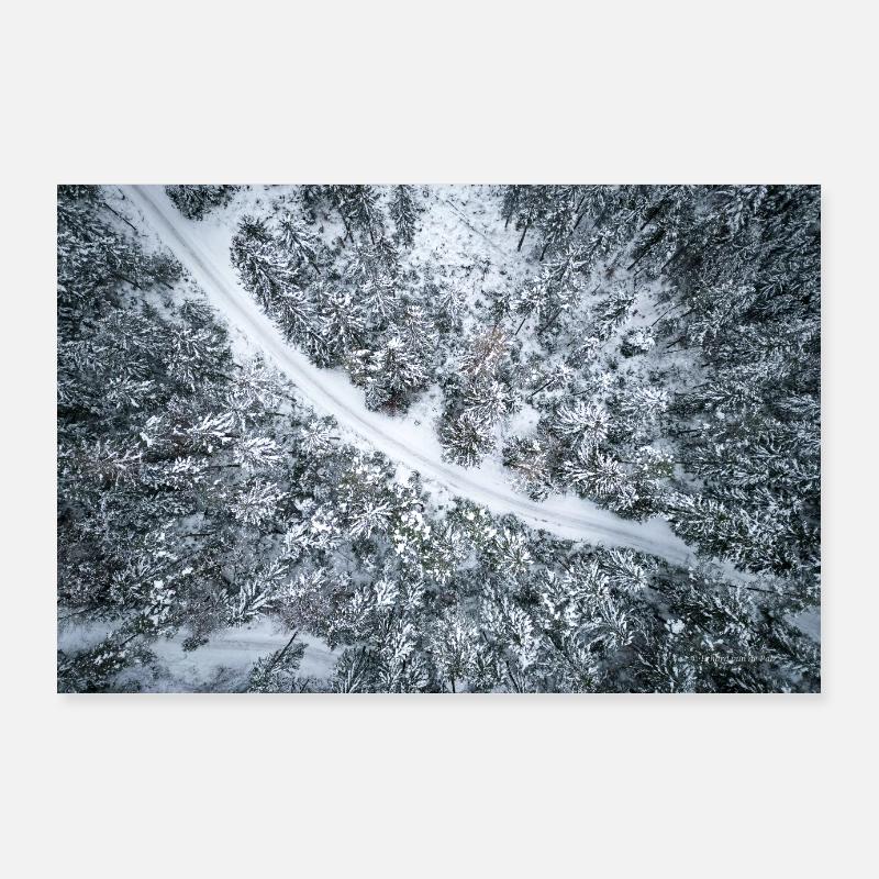 Forêt magique Poster 90 x 60 cm