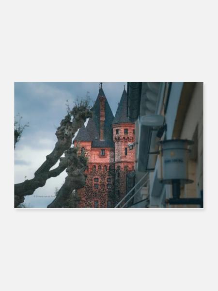 Vers - Poster 90 x 60 cm - blanc - Devant