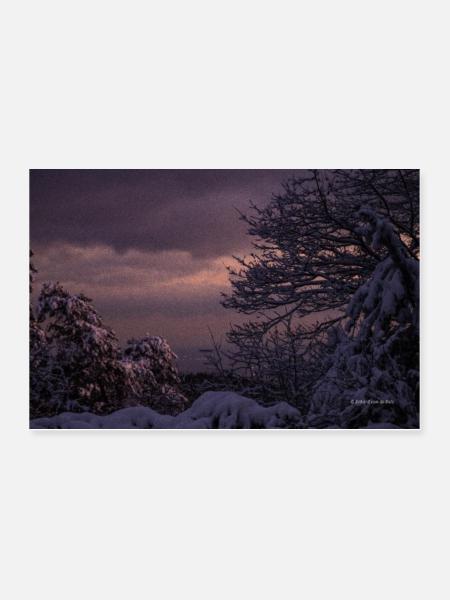 Winter picture - Poster 36" x 24" (90x60 cm) - white - Front