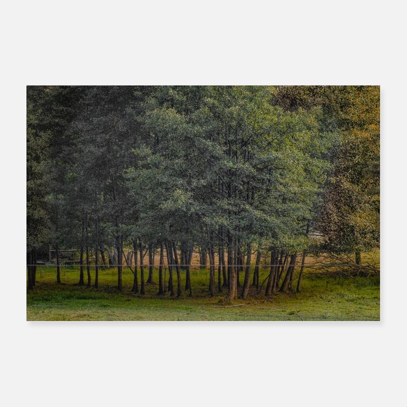 The small forest Poster 36" x 24" (90x60 cm)