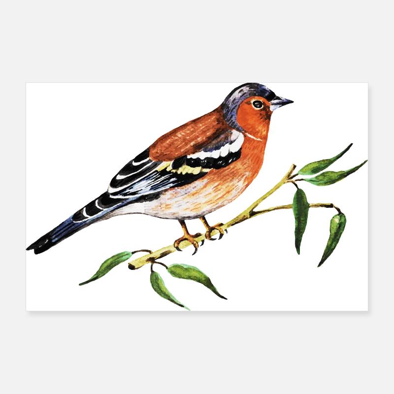 Bunter Vogel Poster 90x60 cm