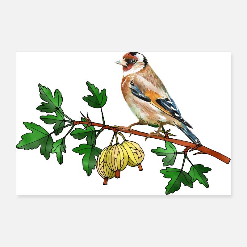 Oiseau coloré Poster 90 x 60 cm