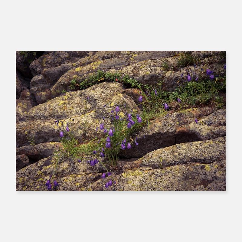Rock vegetation. Poster 36" x 24" (90x60 cm)