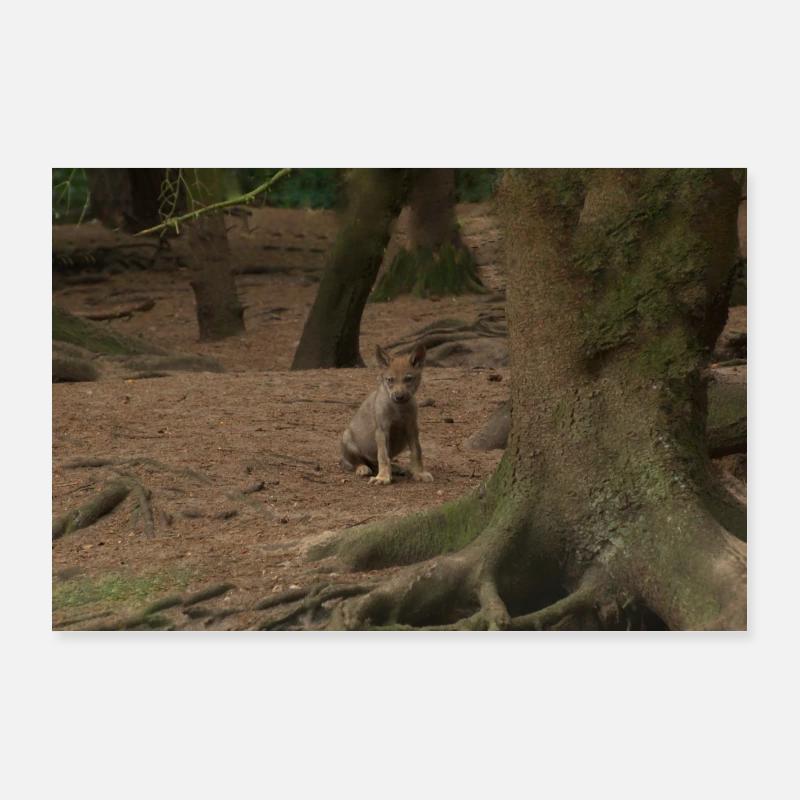Wolf. Poster 36" x 24" (90x60 cm)
