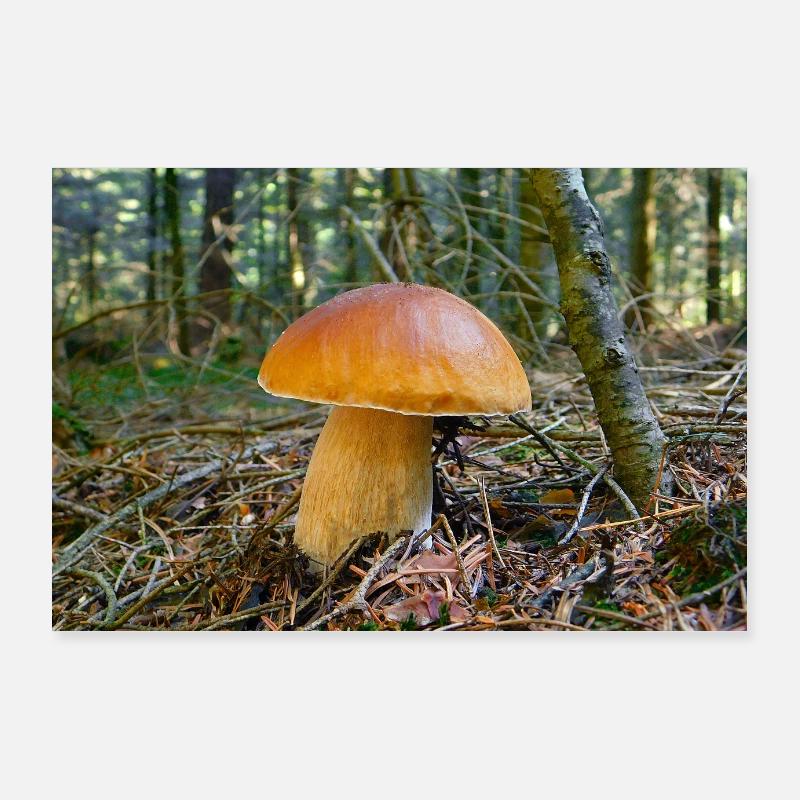 Steinpilz. Poster 90x60 cm