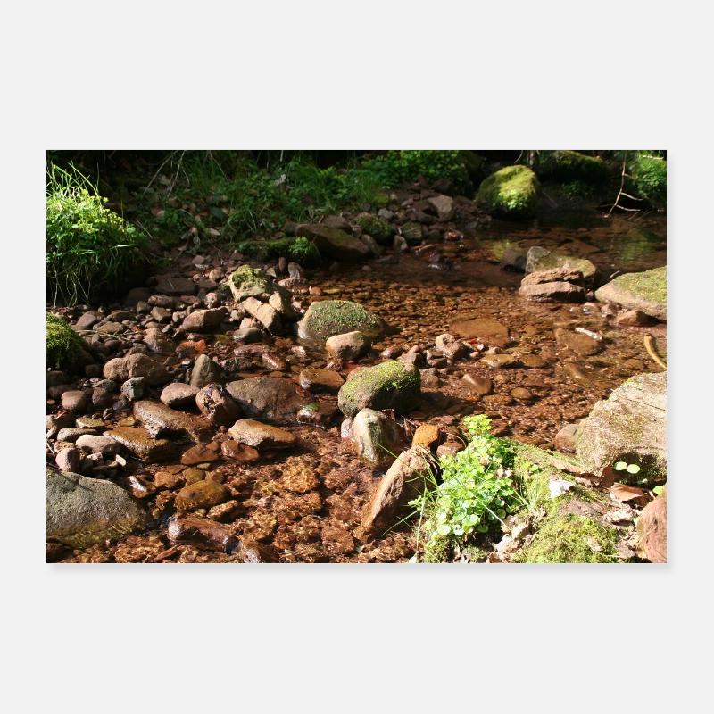Black Forest Forest Stream Poster 36" x 24" (90x60 cm)