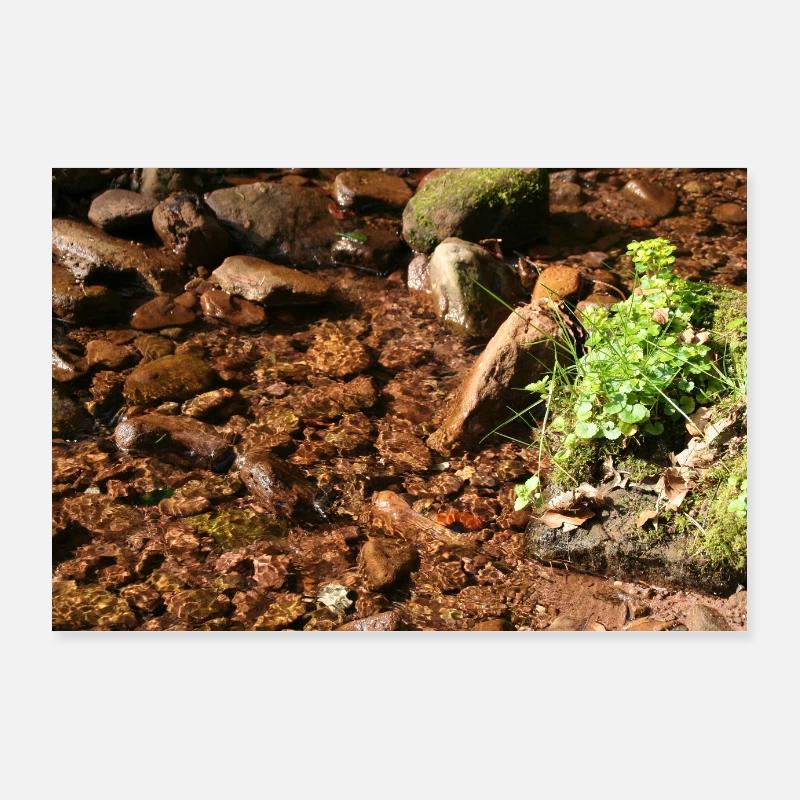 Schwarzwälder Waldbach - Poster 90x60 cm - Weiß