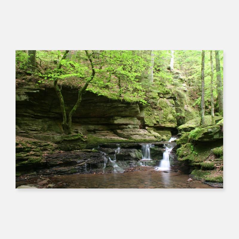 Black Forest Monbach Poster 36" x 24" (90x60 cm)