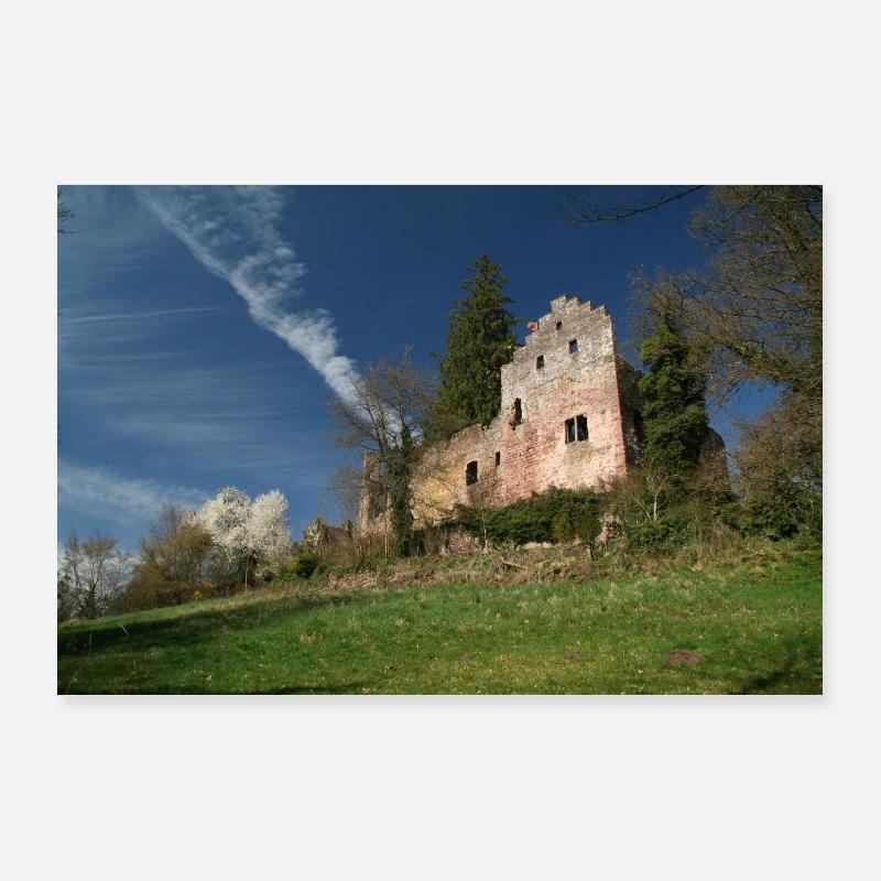 Ruines du château de Zavelstein Poster 90 x 60 cm