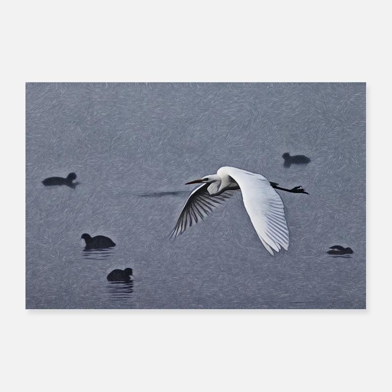 Grandes aigrettes en vol Poster 90 x 60 cm