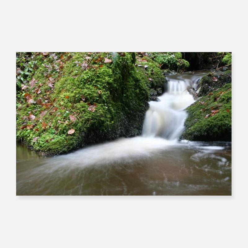 FOREST BROOK Poster 36" x 24" (90x60 cm)