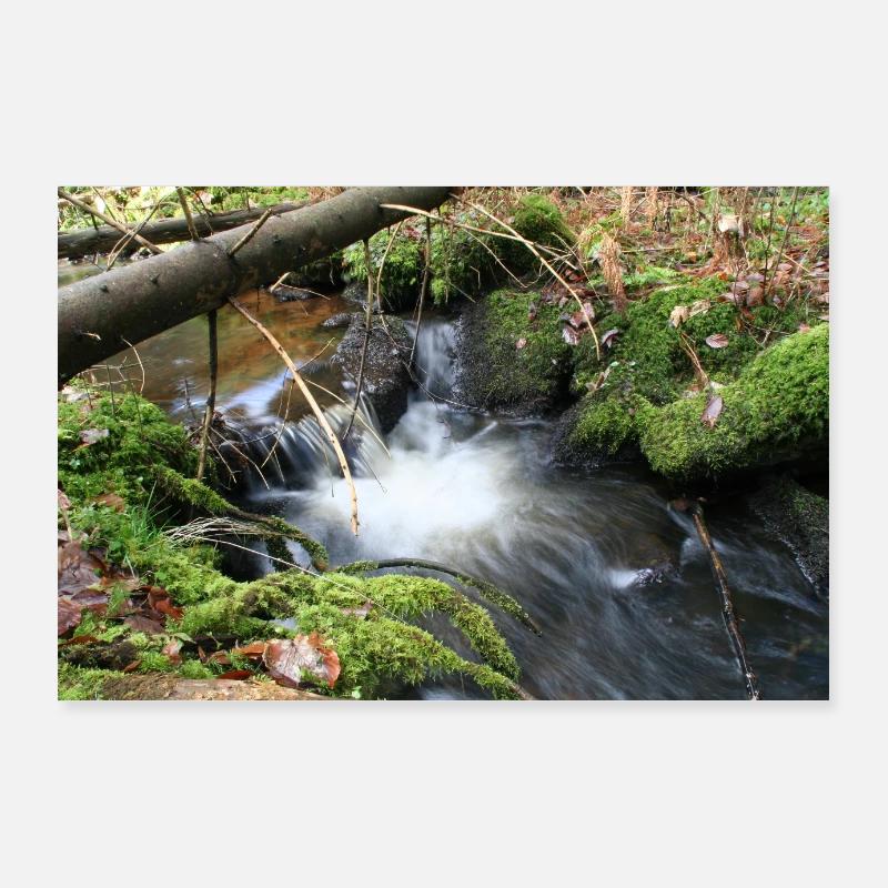 WALDBACH NAGOLDTAL Poster 90 x 60 cm