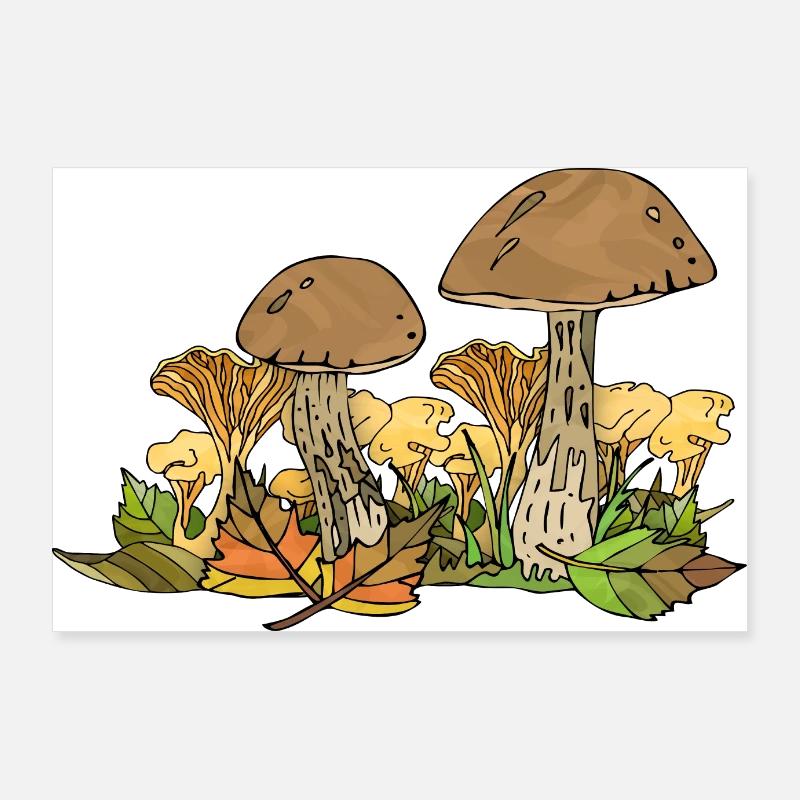Pilze - Poster 90x60 cm - Weiß