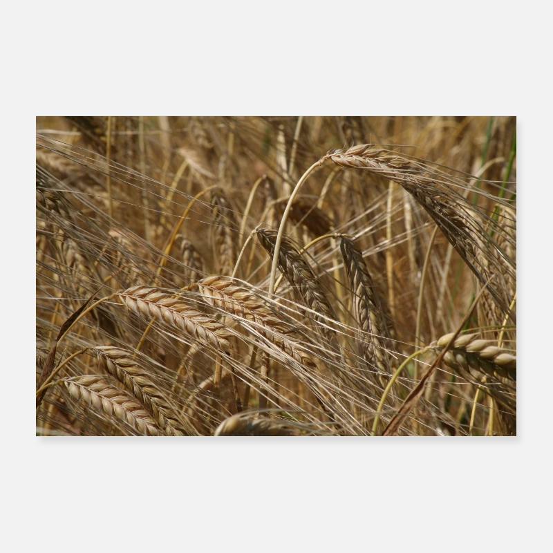 WEIZENFELD Poster 90x60 cm