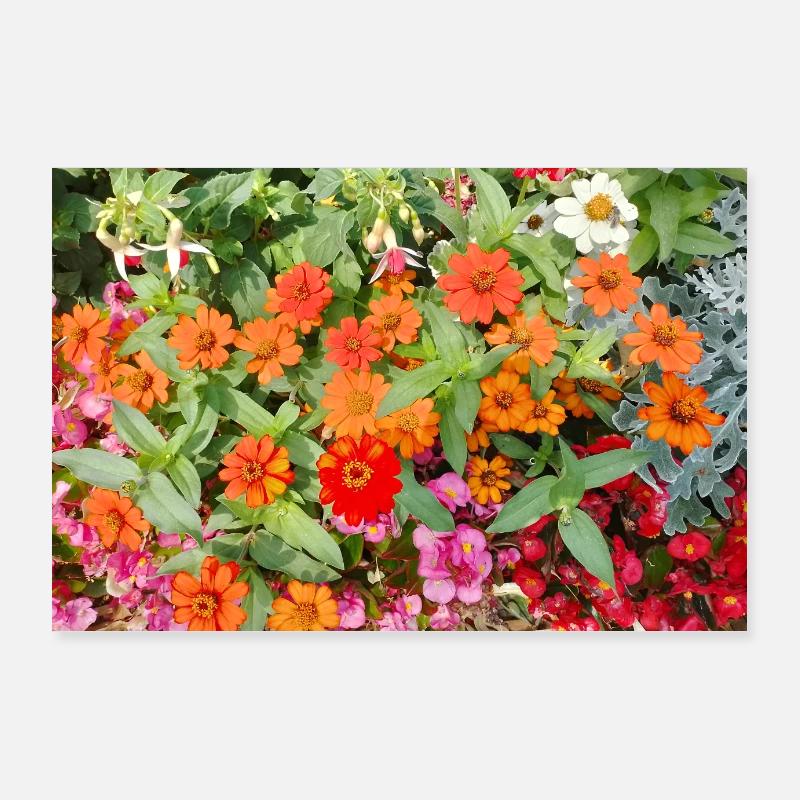 Jardin fleuri – Atmosphère colorée Poster 90 x 60 cm