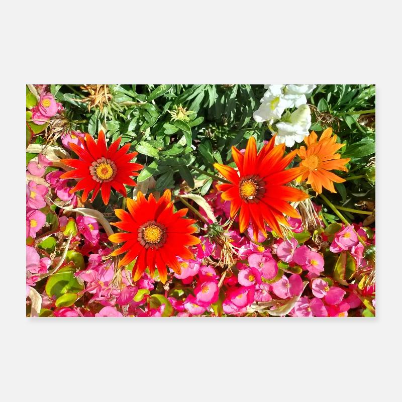Jardin fleuri – Atmosphère colorée Poster 90 x 60 cm