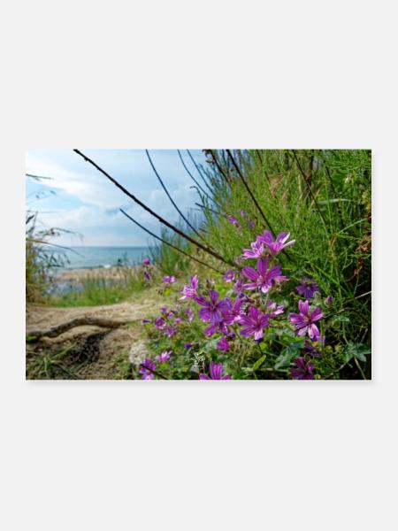 nature - Poster 36" x 24" (90x60 cm) - white