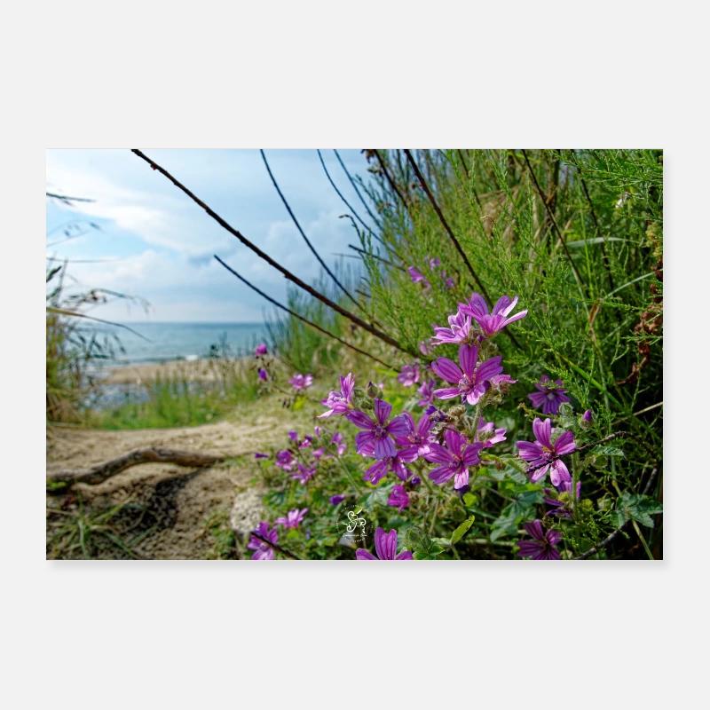 Natur - Poster 90x60 cm - Weiß