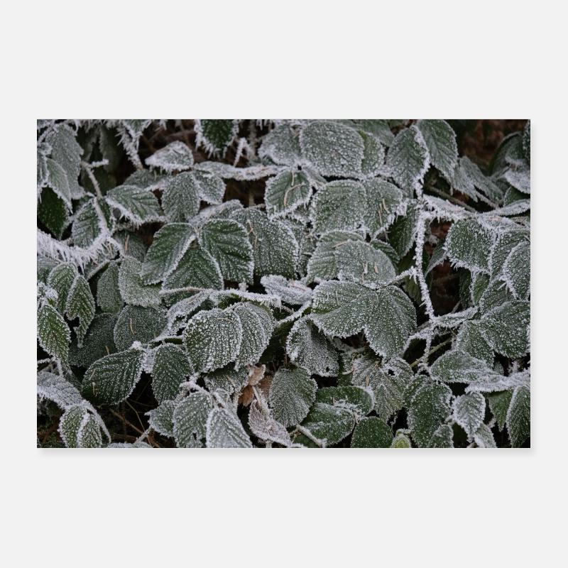 Poster WINTERZAUBER 3 Poster 36" x 24" (90x60 cm)