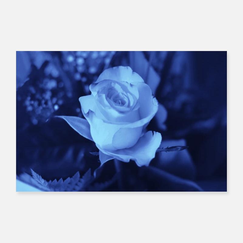 Rose blue Poster 36" x 24" (90x60 cm)