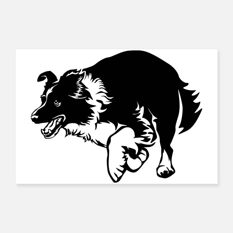 Border Collie Poster 90 x 60 cm