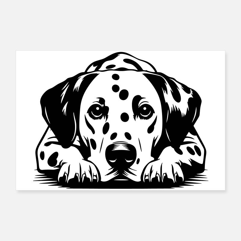 Dalmatiner Poster 90x60 cm