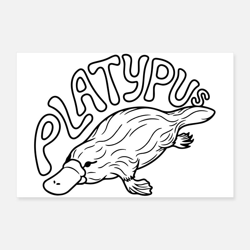 Platypus Poster 36" x 24" (90x60 cm)