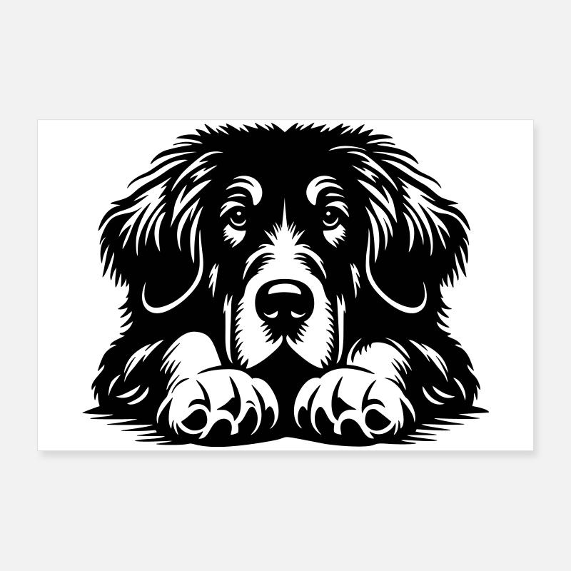 Tibetan Great Dane Head with Paws Poster 36" x 24" (90x60 cm)