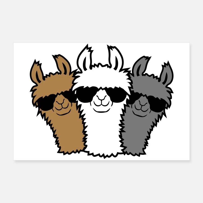 3 Lama Freunde Poster 90x60 cm