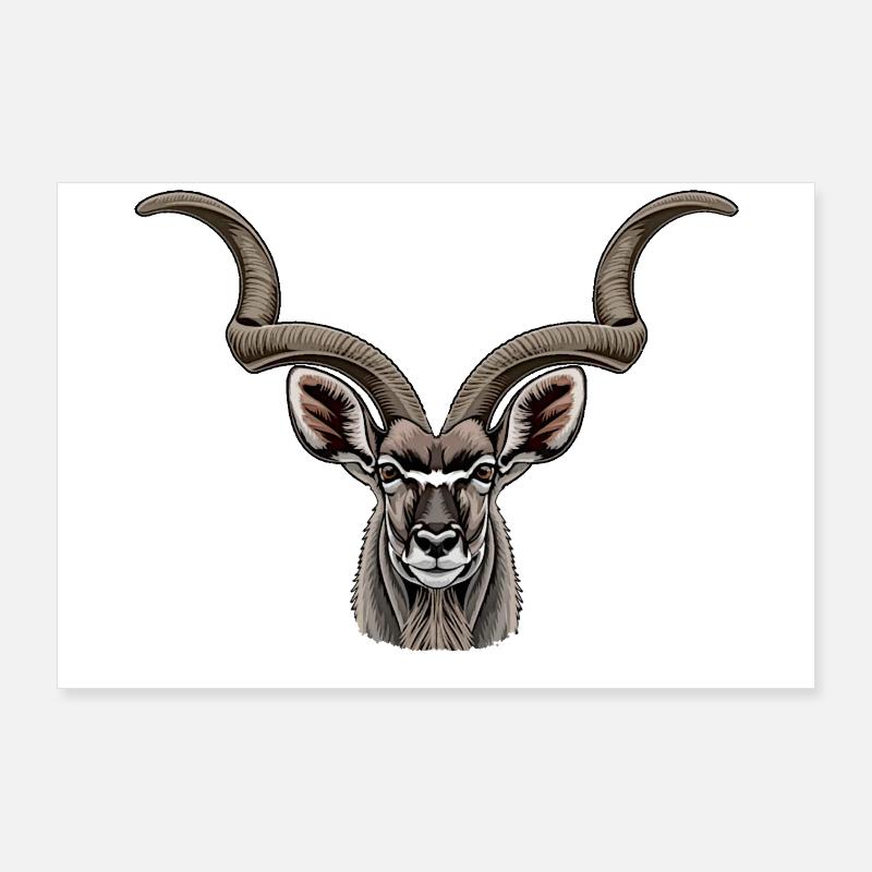 kudu antilope Poster 90x60 cm