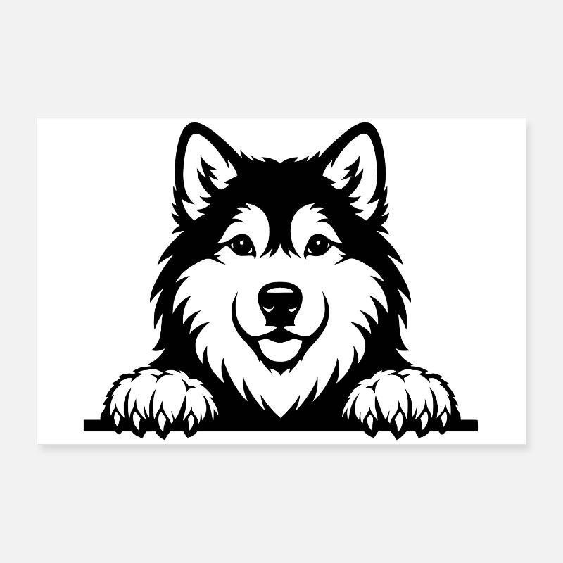 Malamute d’Alaska chiot noir Poster 90 x 60 cm