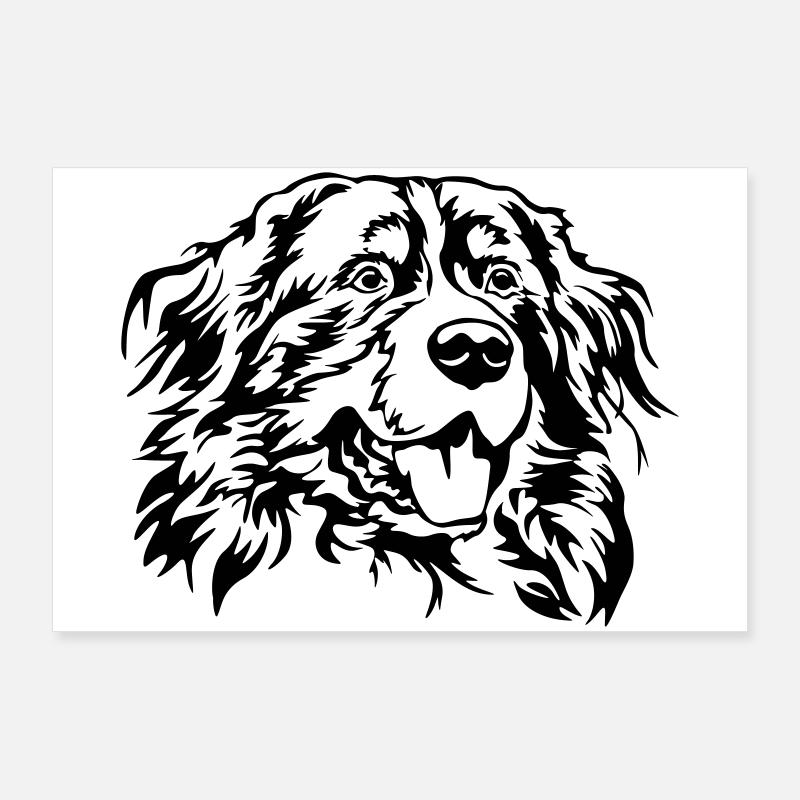 Berner Sennenhund Kopf Poster 90x60 cm