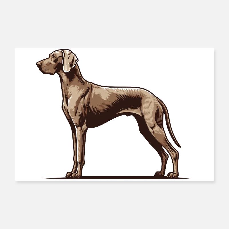 Weimaraner Poster 90 x 60 cm
