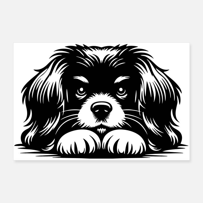 Tibet Spaniel Kopf mit Pfoten Poster 90x60 cm