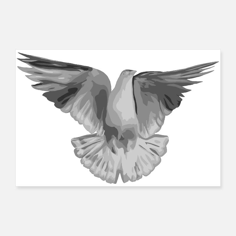 Dove light grey Poster 36" x 24" (90x60 cm)