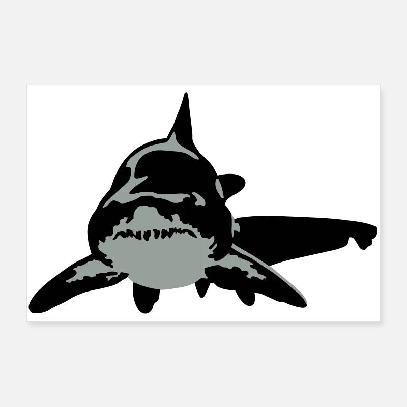 requin Poster 90 x 60 cm