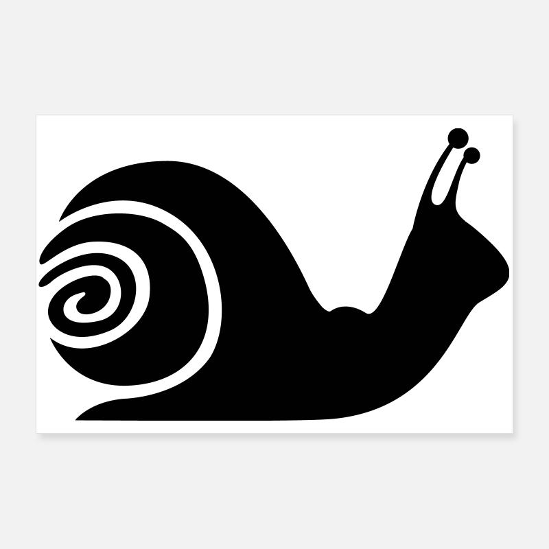 Schnecke - Poster 90x60 cm - Weiß