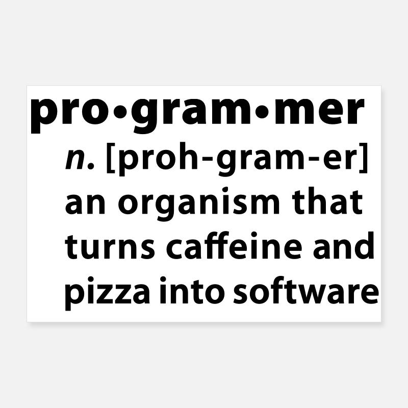 Programmer Wörterbuchdefinition - Poster 90x60 cm - Weiß