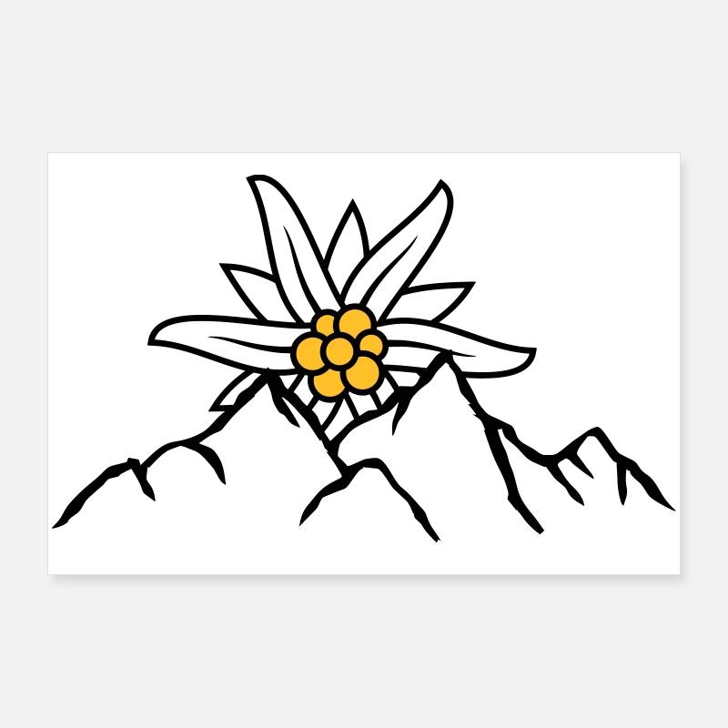 Sun mountain flower Edelweiss Poster 36" x 24" (90x60 cm)