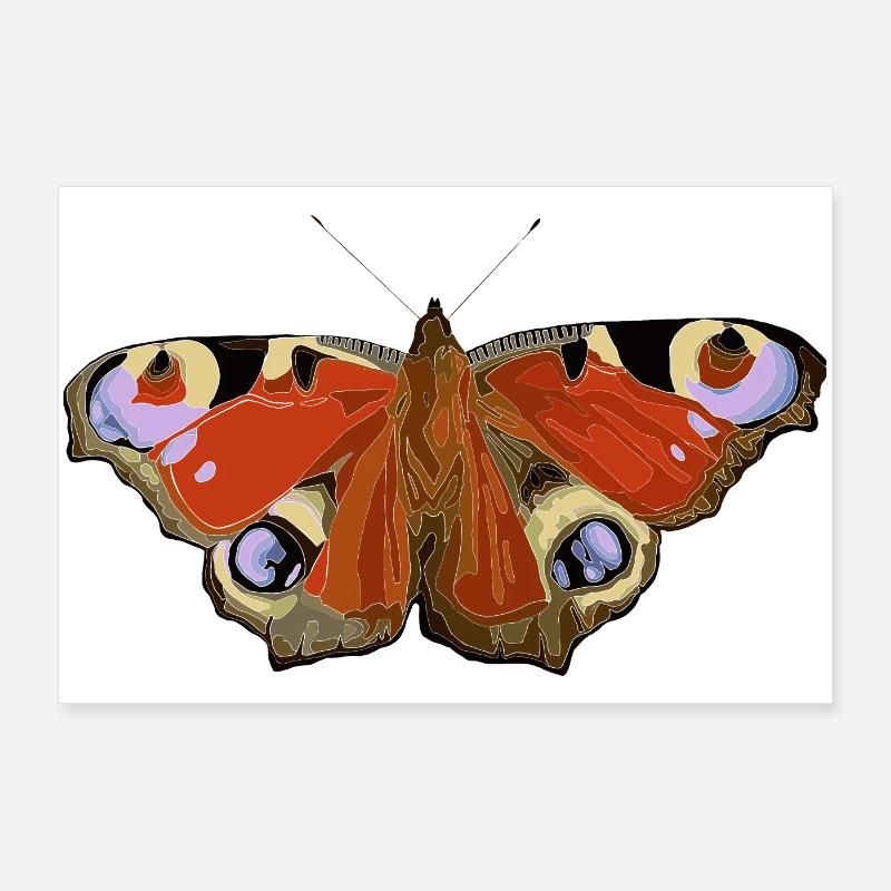 Schmetterling - Poster 90x60 cm - Weiß